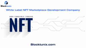 Unlocking the Power of White-label NFT Marketplaces